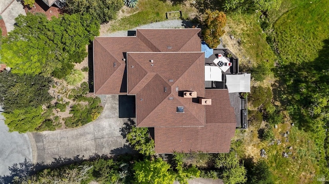 bird's eye view
