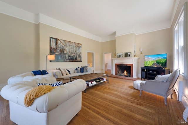 living area with a fireplace, wood finished floors, and plenty of natural light