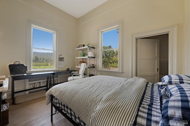 bedroom featuring wood finished floors and radiator