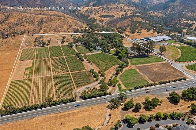 bird's eye view with a mountain view and a rural view