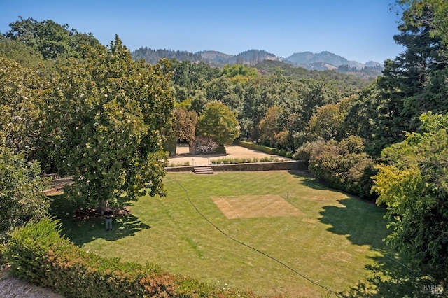 bird's eye view featuring a forest view and a mountain view