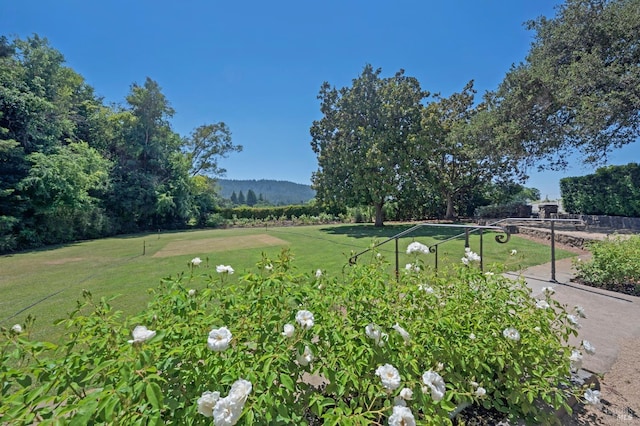 view of home's community featuring a lawn and a mountain view