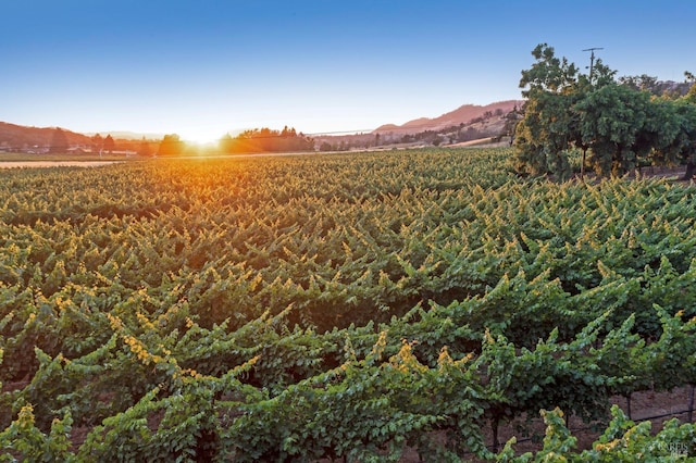 property view of mountains with a rural view