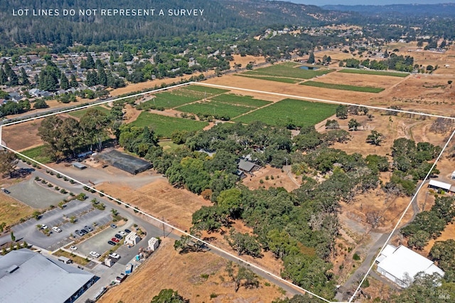 drone / aerial view