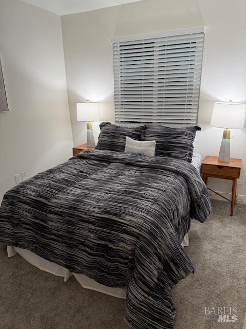 106 Oliva Ct Unit C, Novato, CA 94947 - view of carpeted bedroom