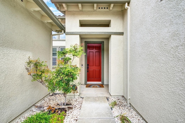 doorway to property featuring stucco siding