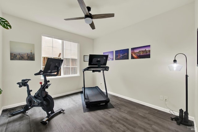 workout room featuring baseboards, dark wood-style floors, and ceiling fan