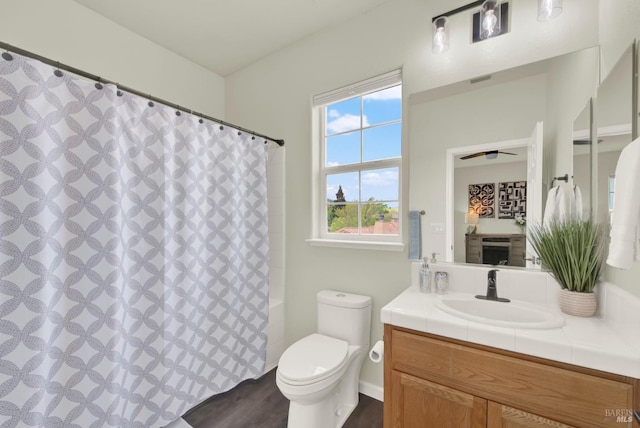 full bathroom featuring toilet, a shower with curtain, and vanity