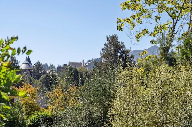 11 Cedar St, San Anselmo, CA 94960 - view of nature featuring a mountain view