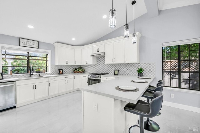 4187 Tokay Dr, Napa, CA 94558 - kitchen with stainless steel appliances, a sink, under cabinet range hood, light countertops, and backsplash