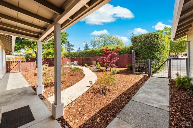 view of yard with a fenced backyard, a gate, and a patio