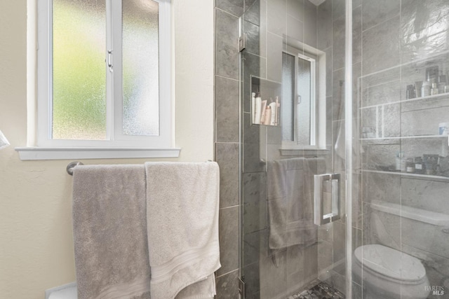 full bathroom featuring a shower stall and toilet