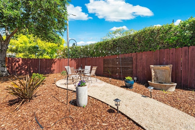 view of yard with a patio and a fenced backyard
