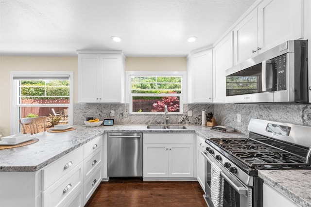 kitchen featuring a peninsula, a wealth of natural light, stainless steel appliances, and a sink