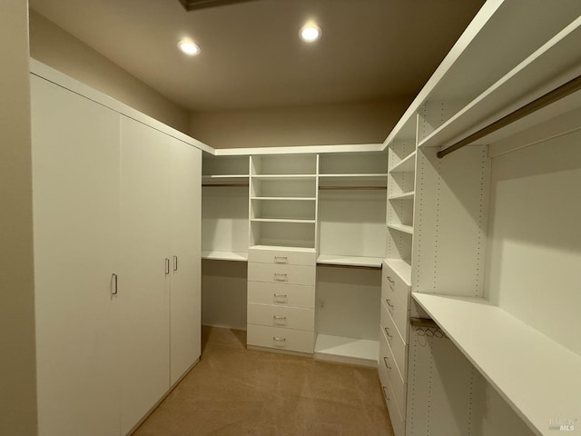 walk in closet featuring light colored carpet