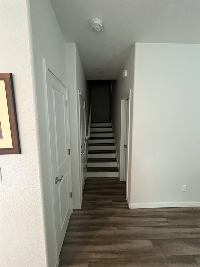 hallway featuring baseboards and dark wood-style floors