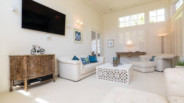 living area featuring ornamental molding and carpet
