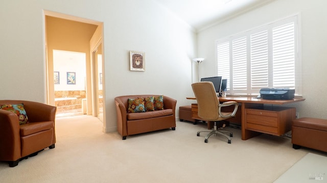 office featuring carpet flooring and ornamental molding