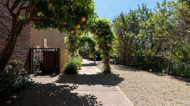 view of yard with a gate