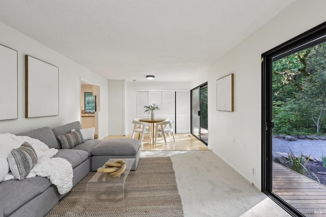 carpeted living area featuring baseboards