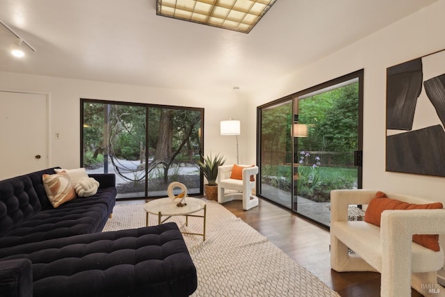 living area with rail lighting and wood finished floors