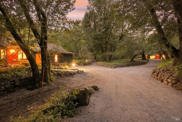 view of property's community with curved driveway