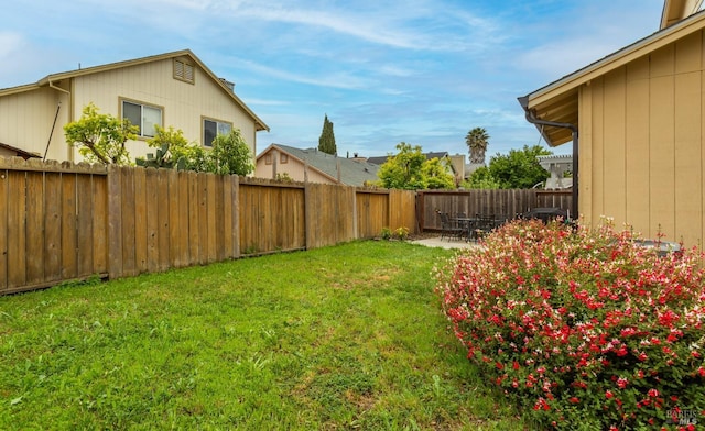 view of yard featuring a fenced backyard and a patio