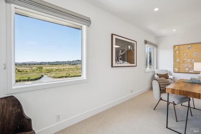 45 Golden Hind Psge, Corte Madera, CA 94925 - kitchen featuring a sink, premium range hood, green cabinetry, tasteful backsplash, and appliances with stainless steel finishes