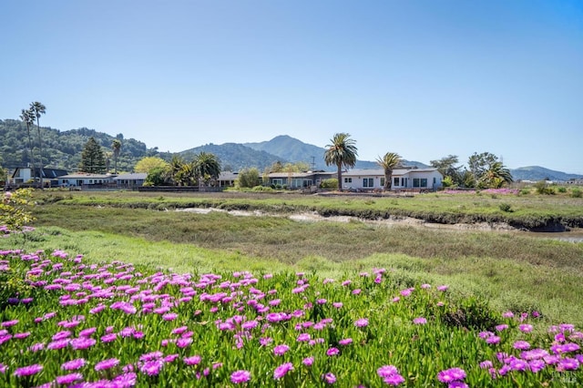 45 Golden Hind Psge, Corte Madera, CA 94925 - view of yard featuring a water and mountain view and fence