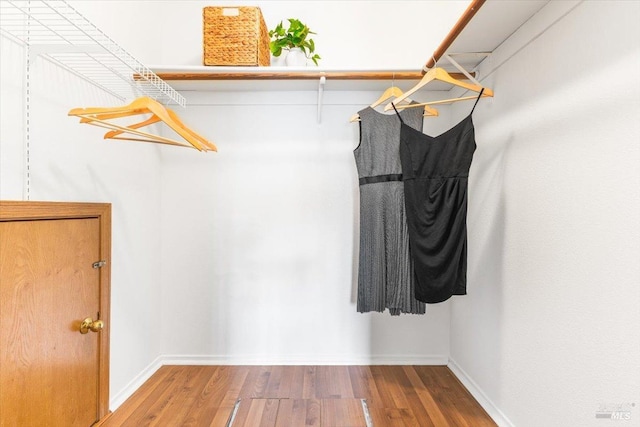 walk in closet with wood finished floors