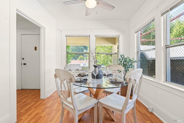 dining area with light wood-style floors, a healthy amount of sunlight, a ceiling fan, and baseboards