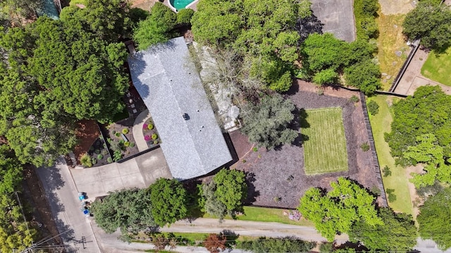 bird's eye view