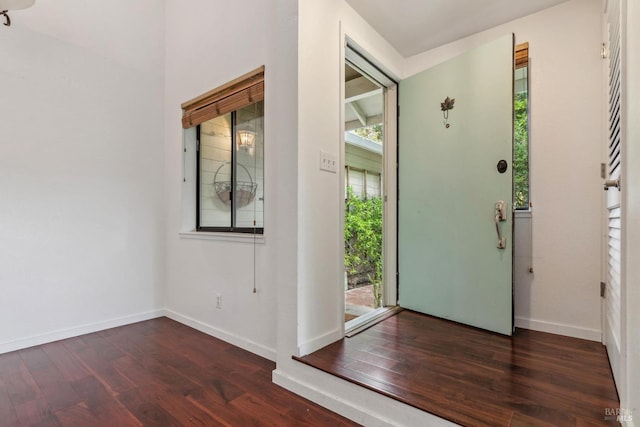 foyer with baseboards, a wealth of natural light, and dark wood-type flooring
