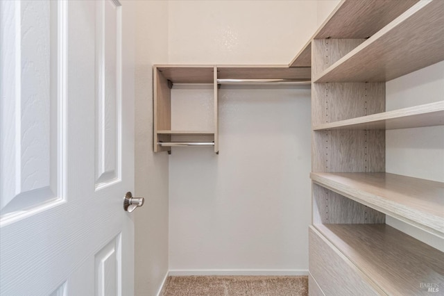 walk in closet featuring carpet floors