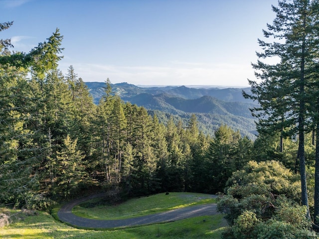 property view of mountains with a forest view