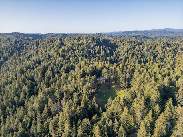 aerial view with a view of trees and a mountain view