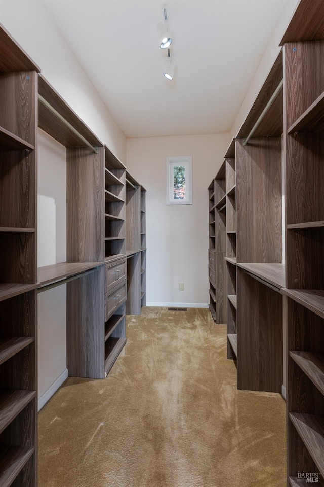 walk in closet featuring carpet floors
