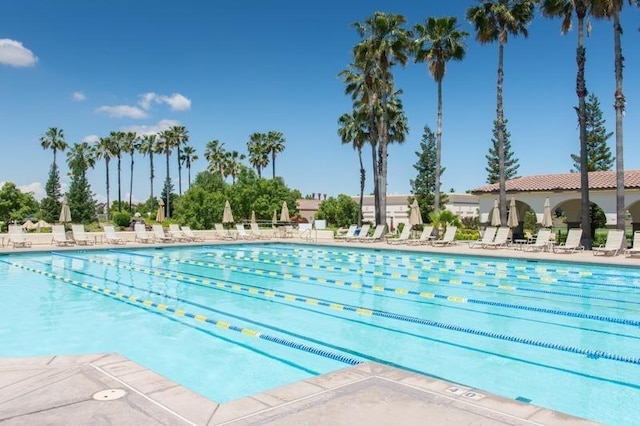 pool with a patio area