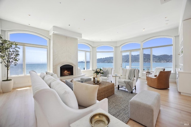 living area featuring light wood-type flooring, a wealth of natural light, and recessed lighting