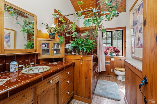 bathroom featuring decorative backsplash, toilet, lofted ceiling, and vanity