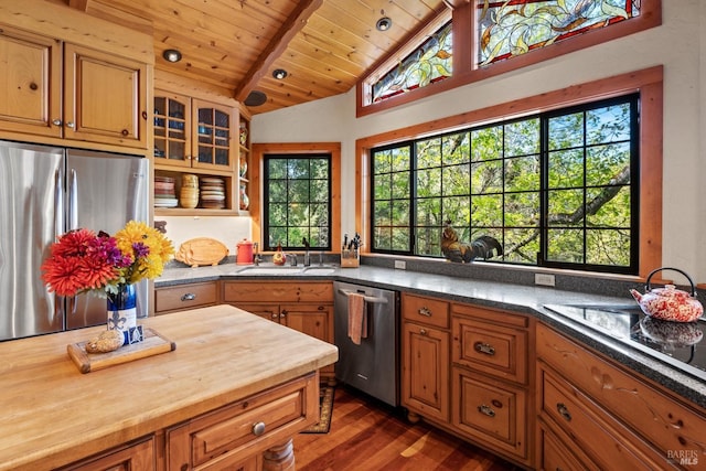 kitchen with brown cabinets, a sink, dark wood-type flooring, lofted ceiling with beams, and appliances with stainless steel finishes