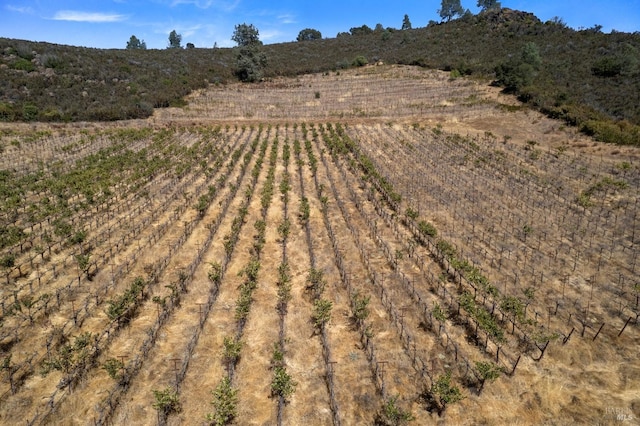aerial view featuring a rural view
