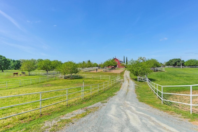 view of road with a rural view and dirt driveway