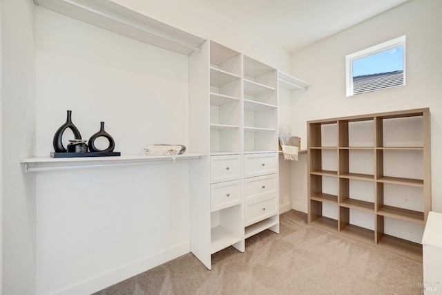 walk in closet with light colored carpet