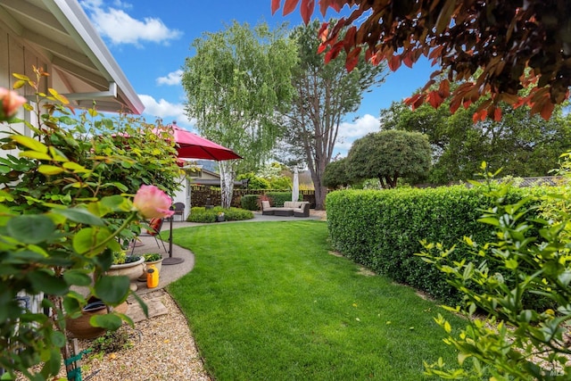 195 Mountain Vista Pl, Santa Rosa, CA 95409 - view of yard featuring an outdoor living space and a patio