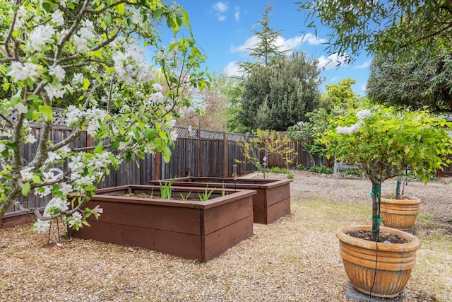 195 Mountain Vista Pl, Santa Rosa, CA 95409 - fenced backyard featuring a vegetable garden
