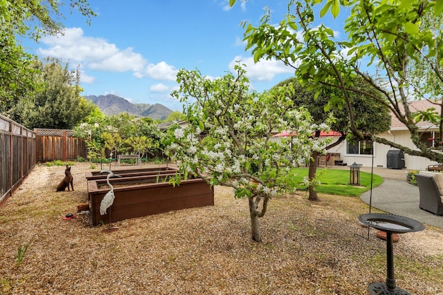 195 Mountain Vista Pl, Santa Rosa, CA 95409 - fenced backyard with a garden and a mountain view