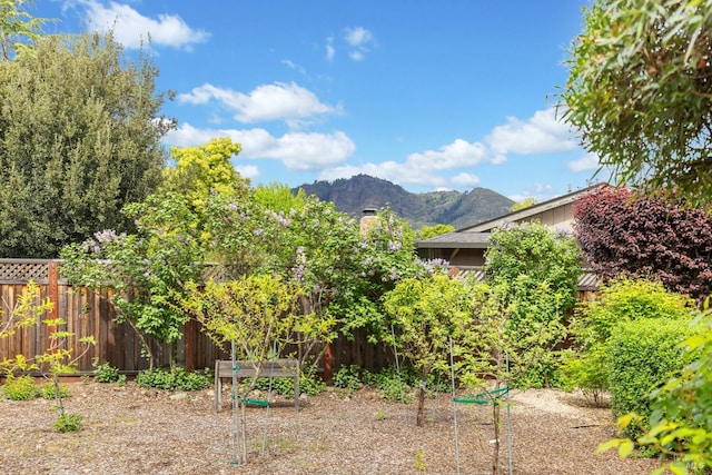 195 Mountain Vista Pl, Santa Rosa, CA 95409 - view of yard with a mountain view