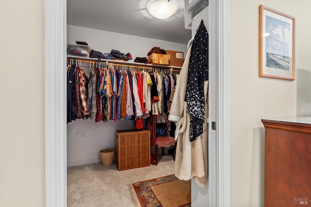 195 Mountain Vista Pl, Santa Rosa, CA 95409 - spacious closet with carpet