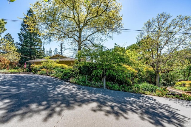 103 Camino Vis, Saint Helena, CA 94574 - view of road